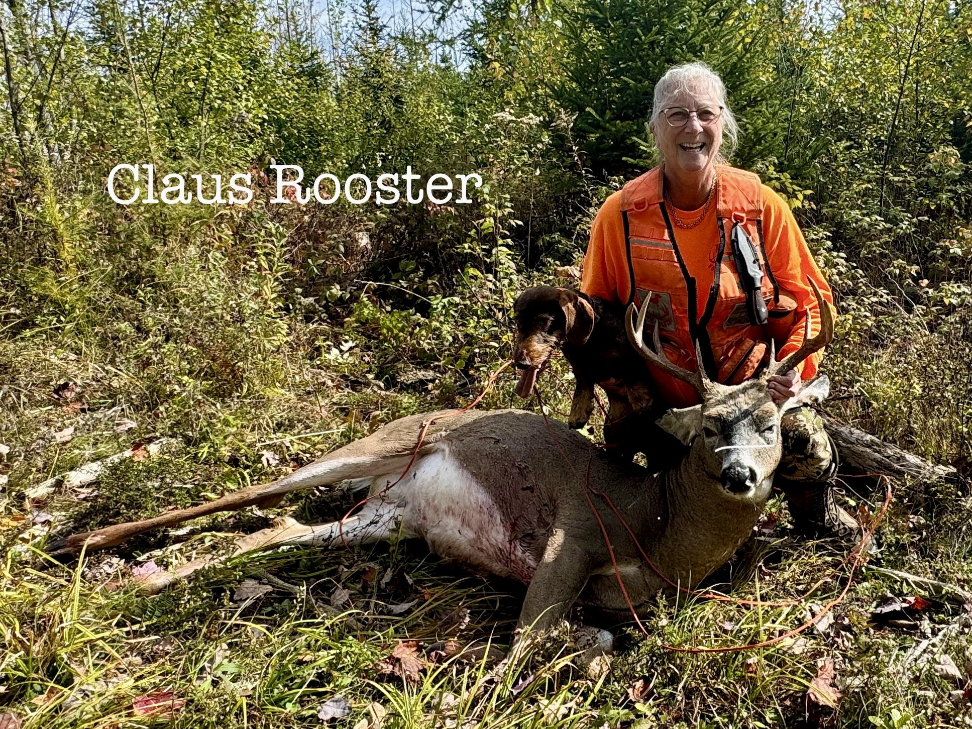 Wire hared puppy litter announcement